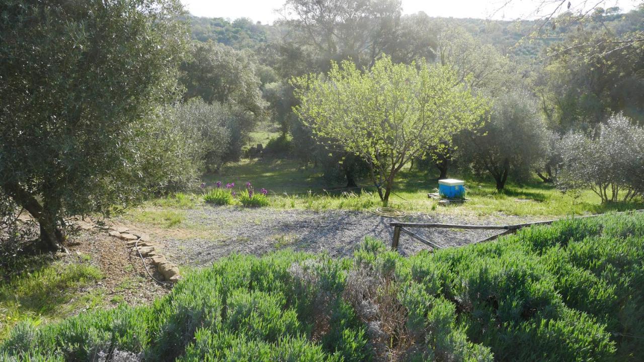 Tenuta Le Mandorlaie, Agriturismo In Scansano Luaran gambar