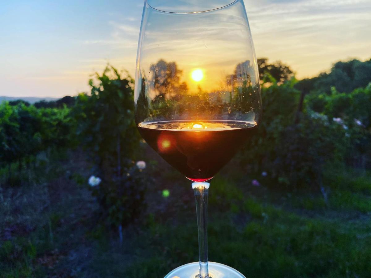 Tenuta Le Mandorlaie, Agriturismo In Scansano Luaran gambar