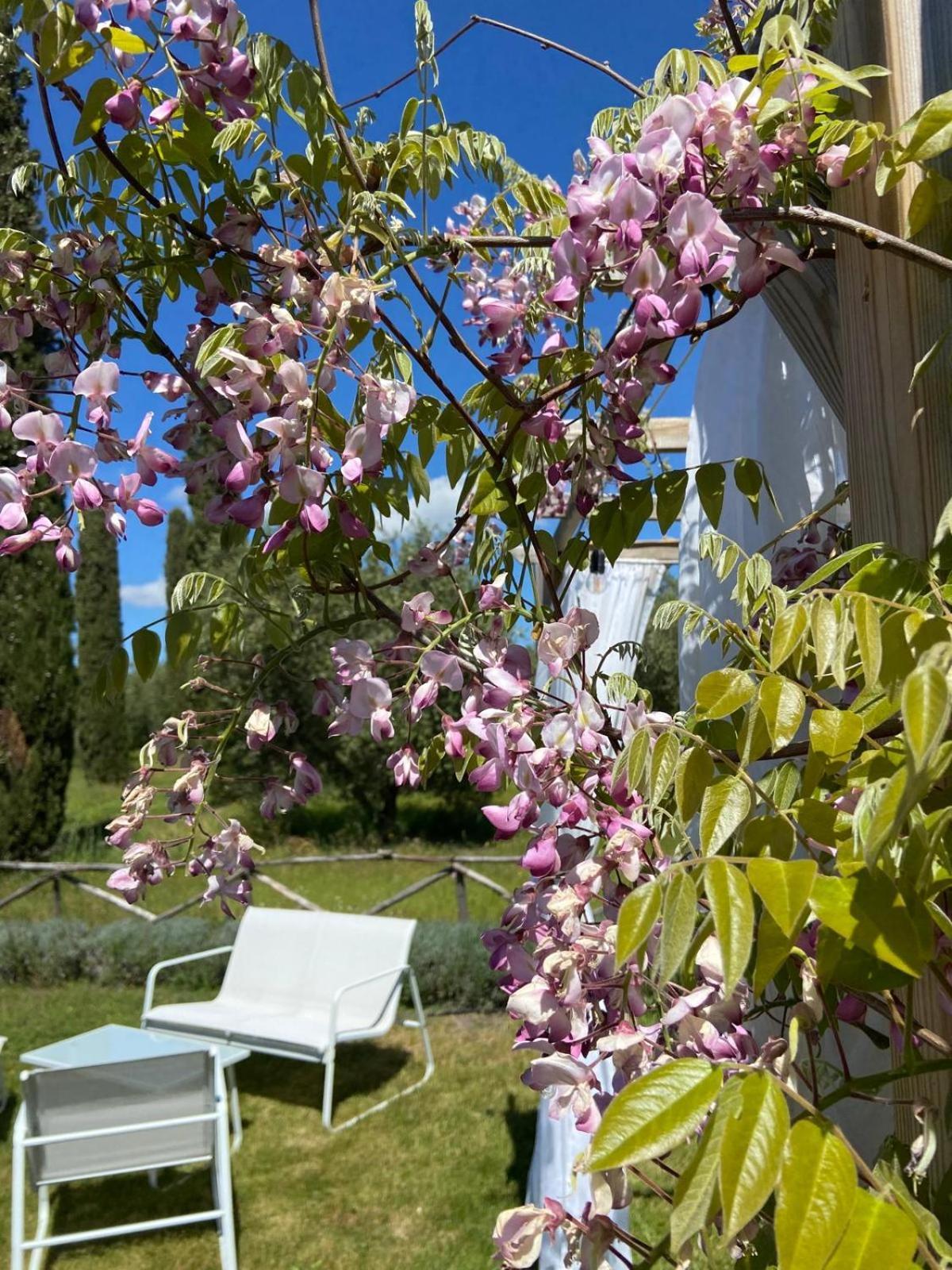 Tenuta Le Mandorlaie, Agriturismo In Scansano Luaran gambar