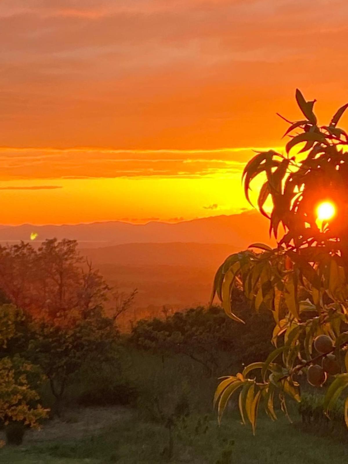 Tenuta Le Mandorlaie, Agriturismo In Scansano Luaran gambar