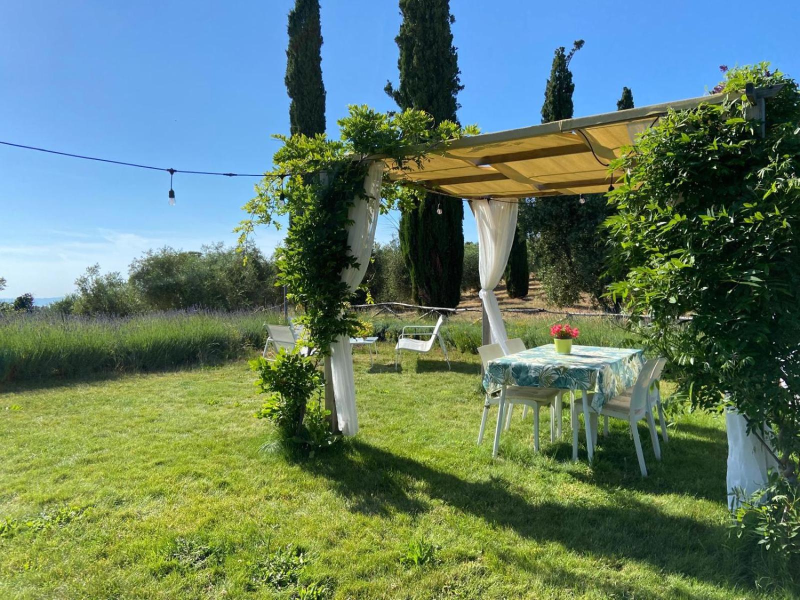 Tenuta Le Mandorlaie, Agriturismo In Scansano Luaran gambar