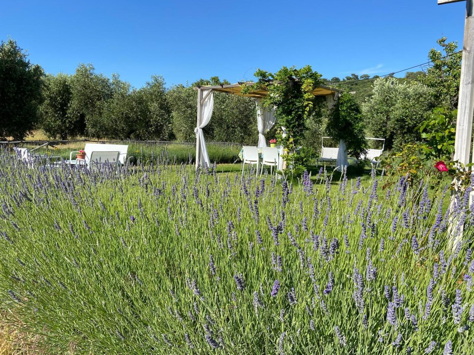 Tenuta Le Mandorlaie, Agriturismo In Scansano Luaran gambar