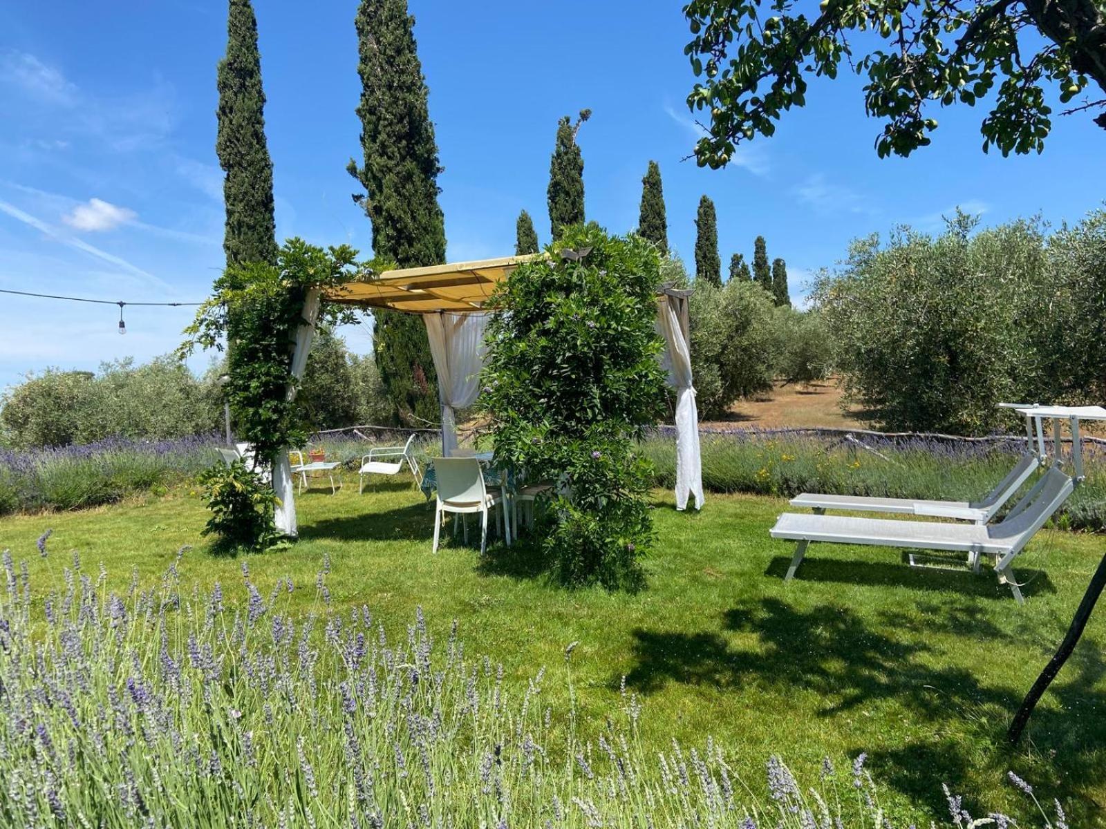 Tenuta Le Mandorlaie, Agriturismo In Scansano Luaran gambar